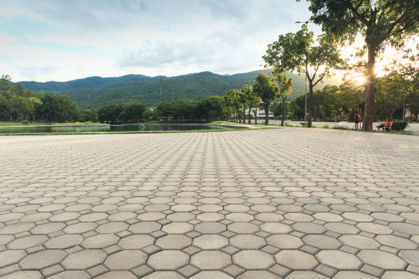 Best Interlocking Driveway Pavers  in Weidman, MI